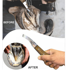 Equinez Tools durable stainless steel construction resisting rust for daily use.