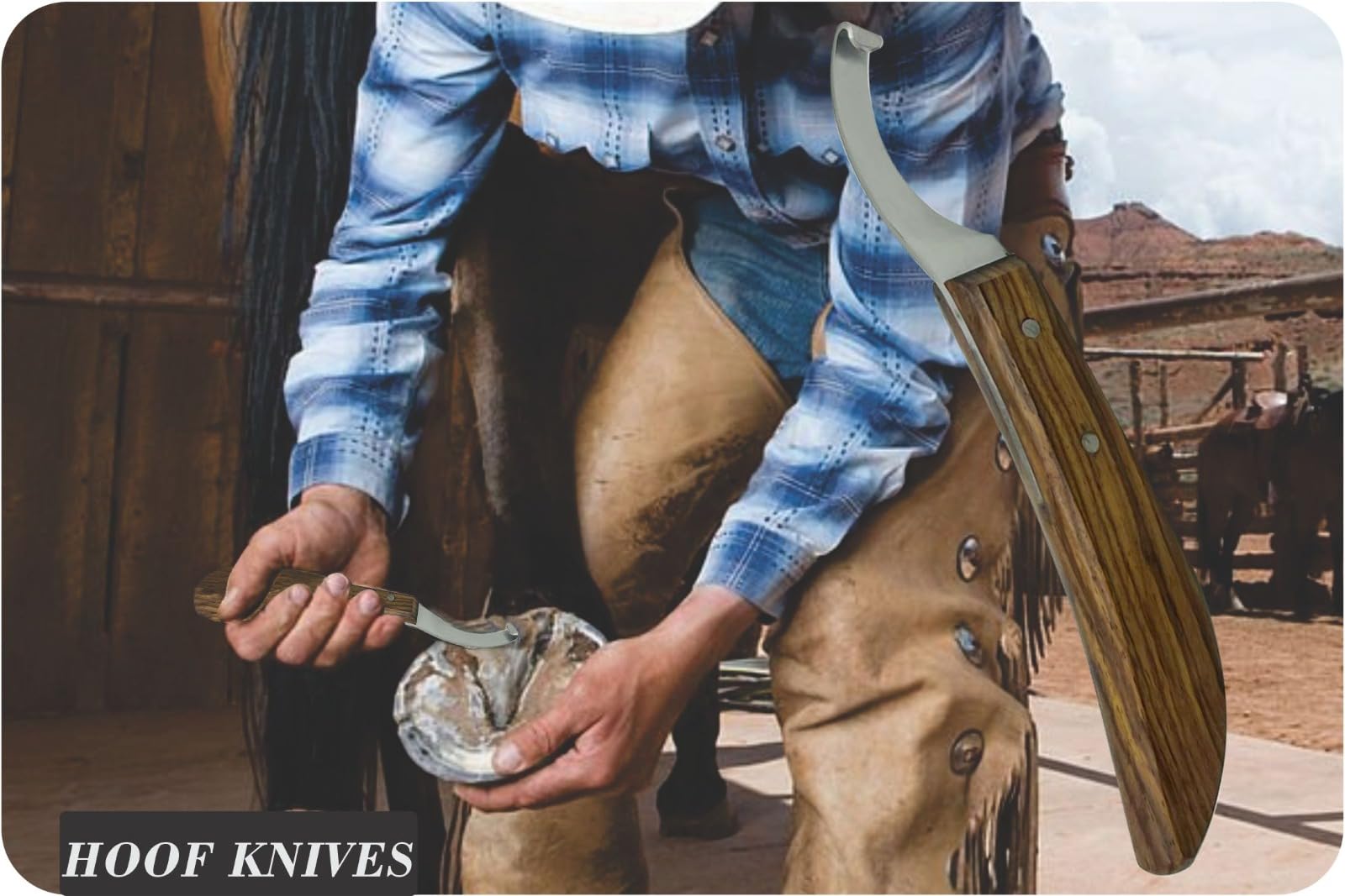 Equinez Tools hoof care precision aiding shaping and balanced hooves.
