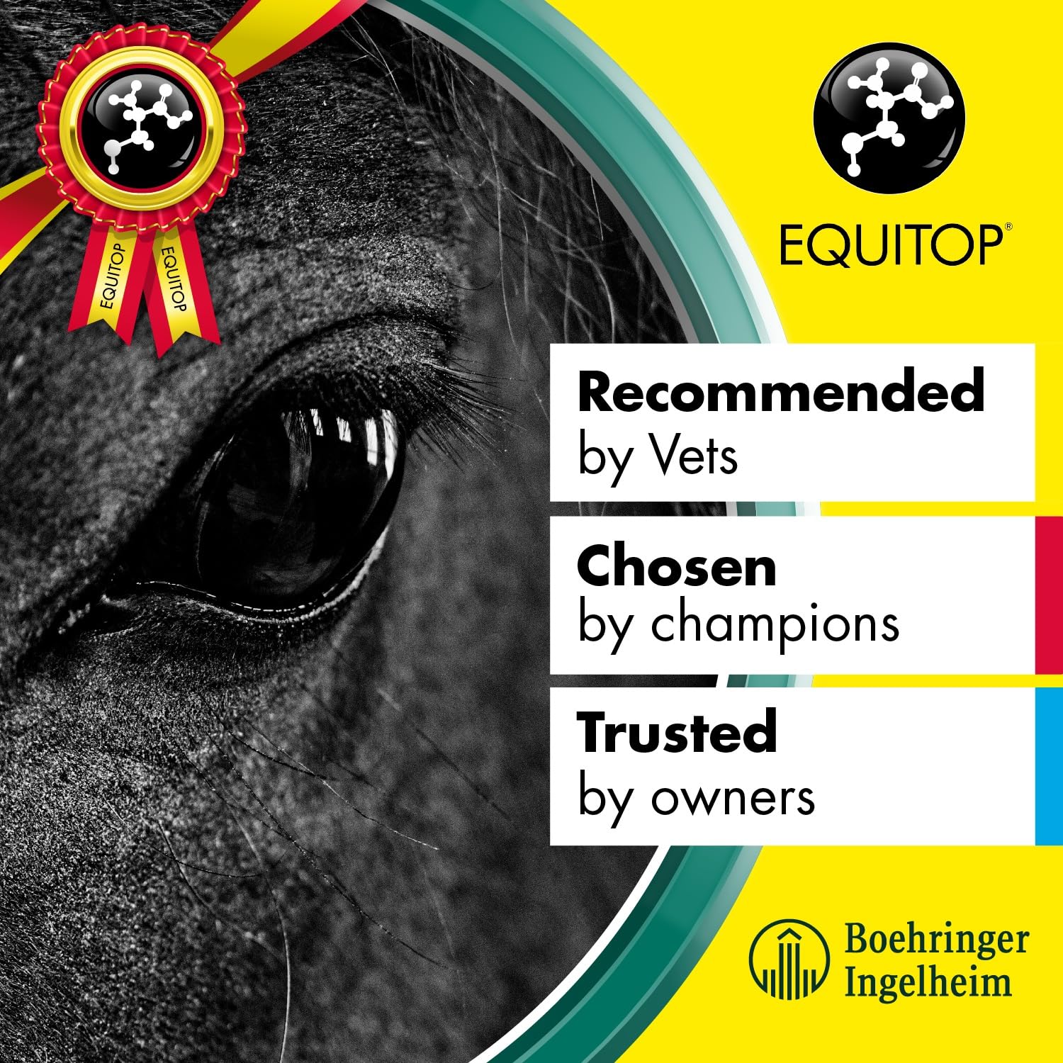 Equitop Myoplast training-use case illustrates return-to-work support.