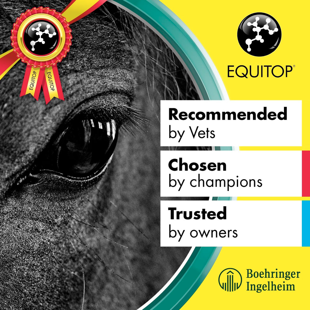 Equitop Myoplast training-use case illustrates return-to-work support.