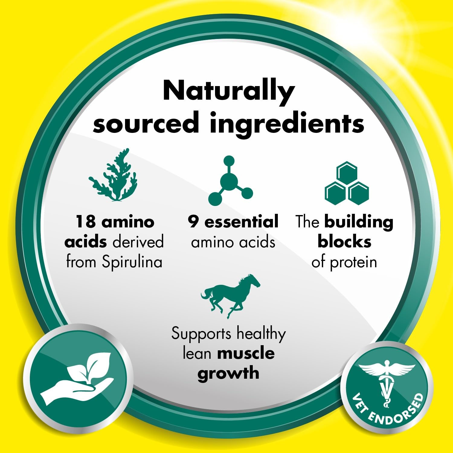 Equitop Myoplast vet-recommendation image highlights trusted protein support.