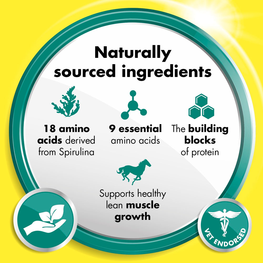 Equitop Myoplast vet-recommendation image highlights trusted protein support.