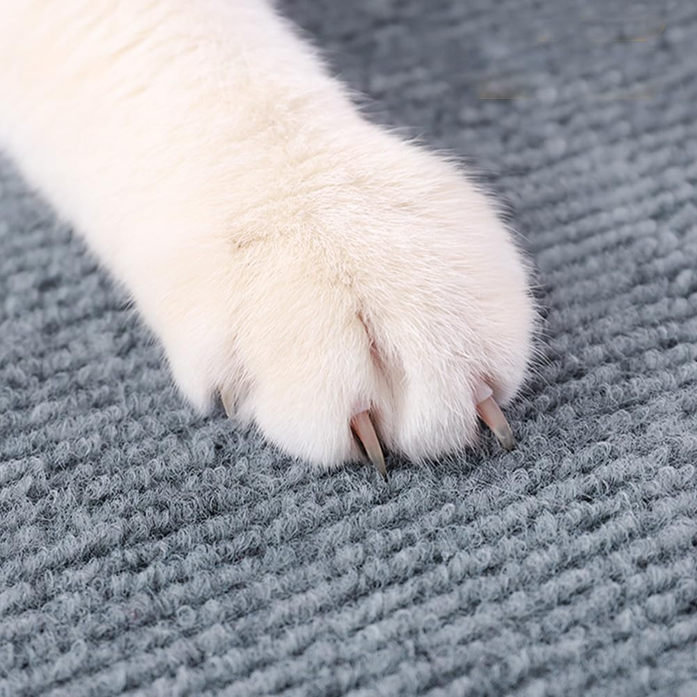 Equmis cat scratcher mat in multiple rooms demonstrating versatile use cases