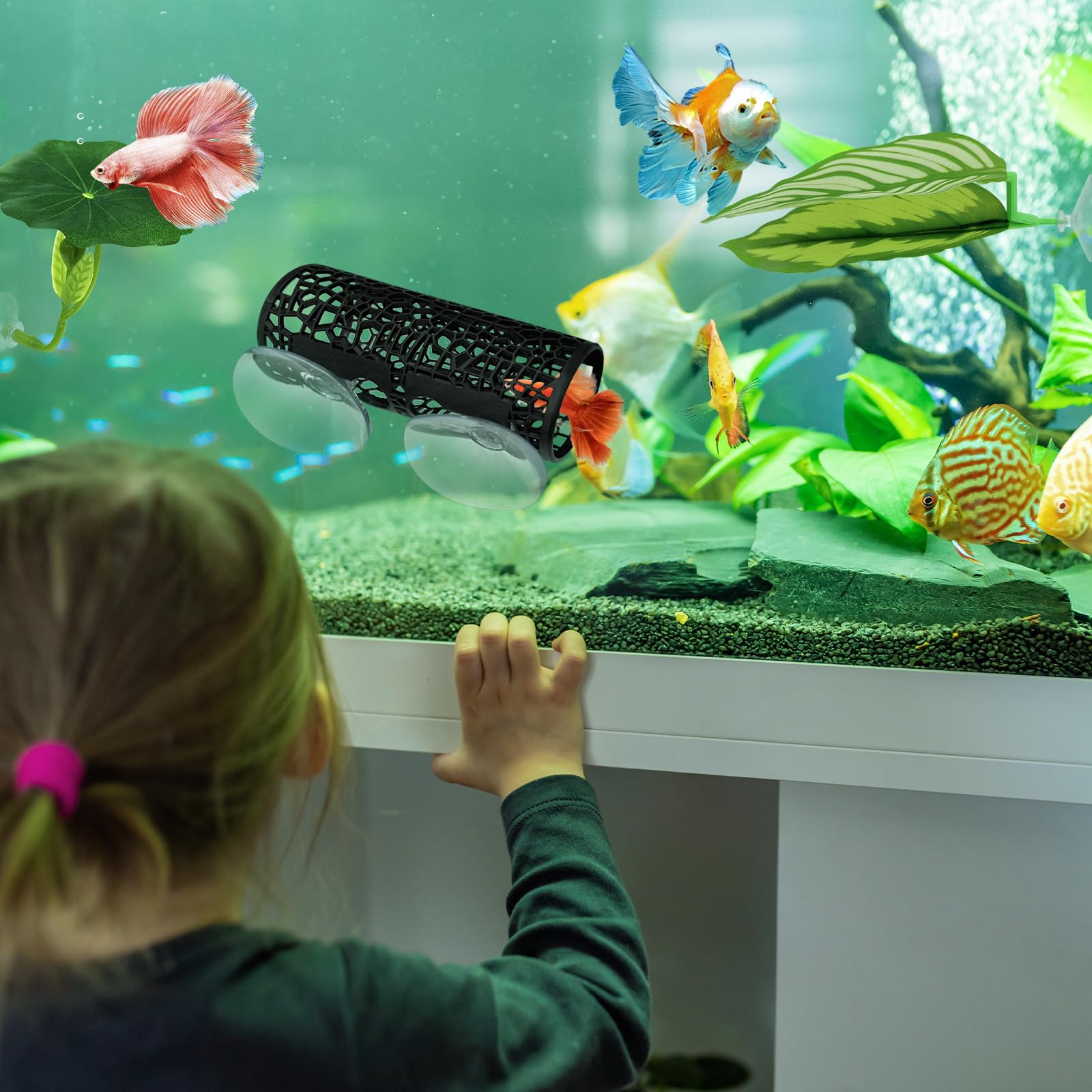 EQUNROY Compact Enrichment fits small tanks while inviting exploration and rest