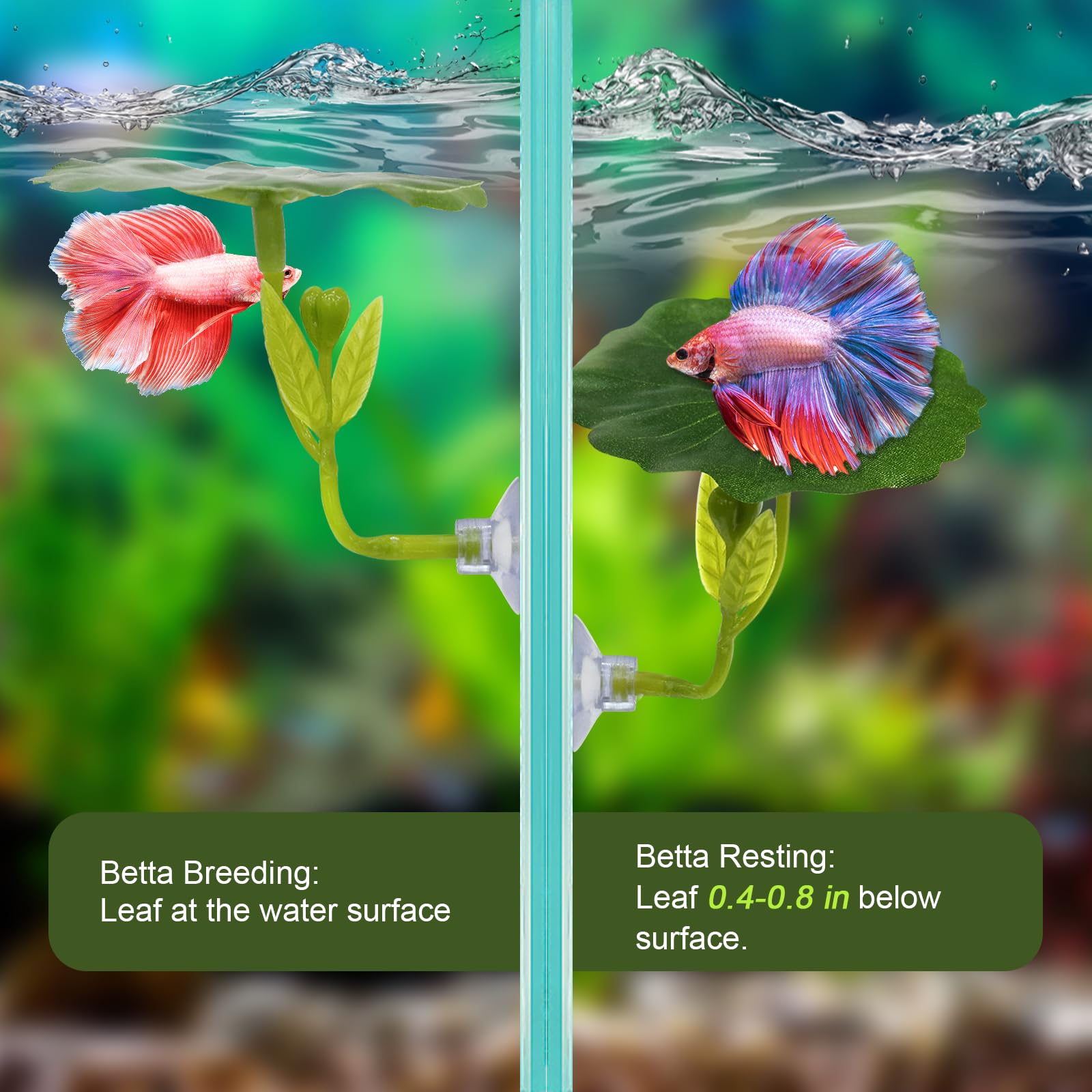 EQUNROY Soft Aquarium Plants add gentle color and natural-looking shelter