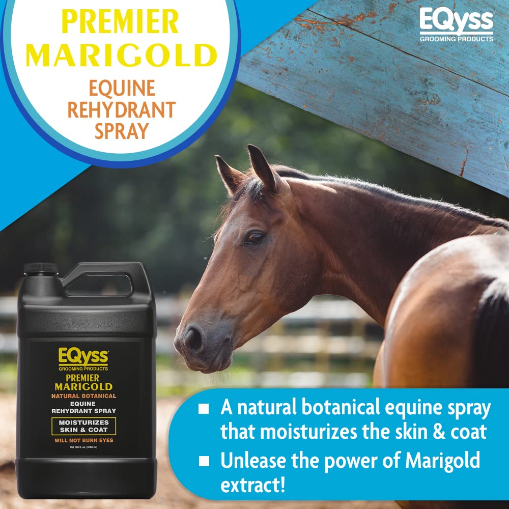 Eqyss Premier Marigold application on mane and tail for hydration and detangling.