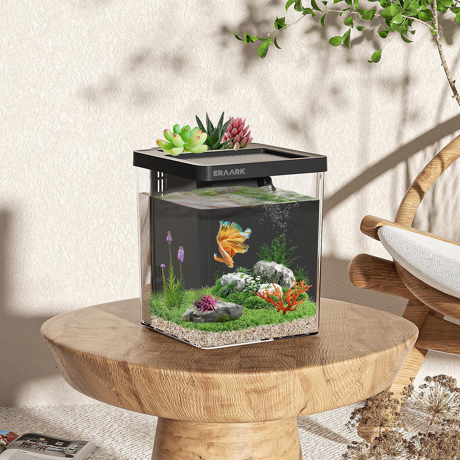 ERAARK Betta tank LED color options create customizable ambiance