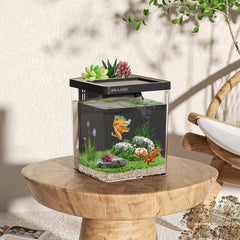 ERAARK Betta tank LED color options create customizable ambiance
