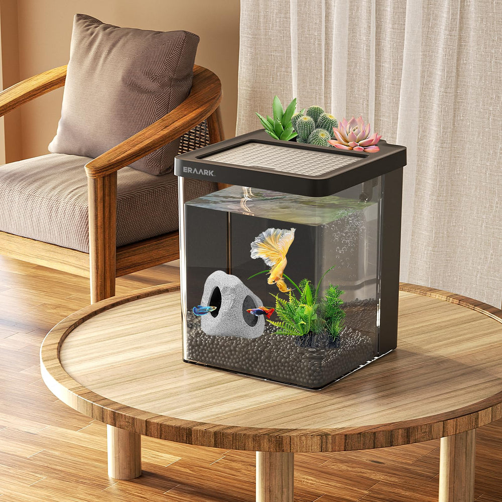 ERAARK Betta Tank packaging display shows a gift-ready kit for kids and families.