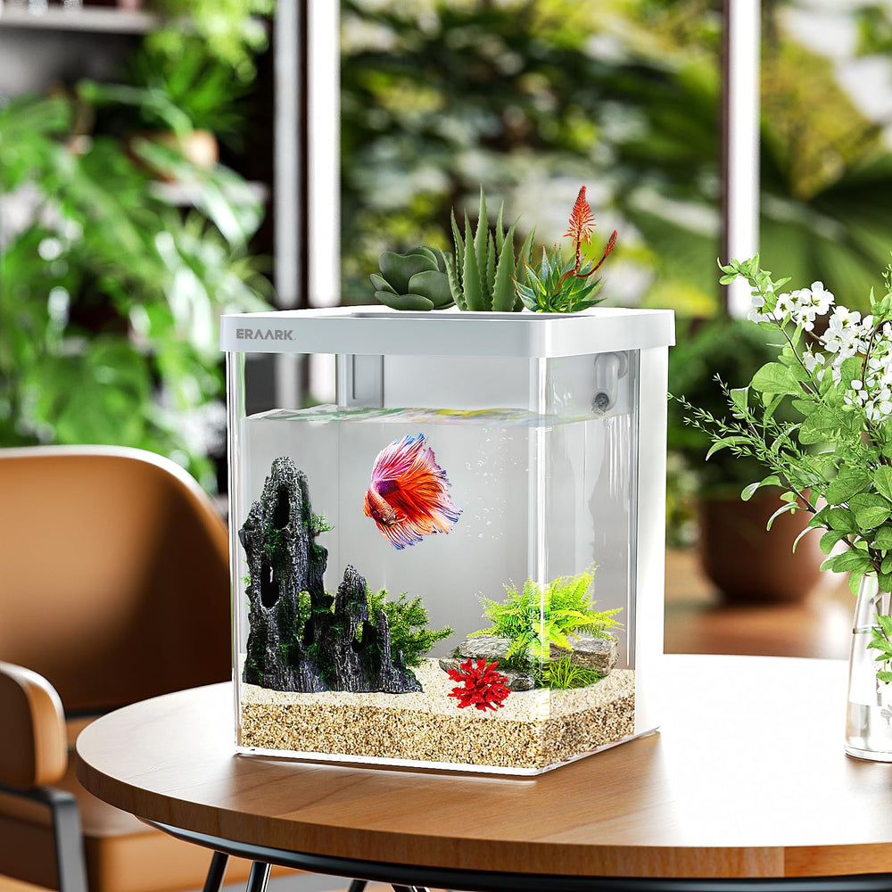 ERAARK Smart Betta Tank compact 1.5-gallon size suits desks and shelves.