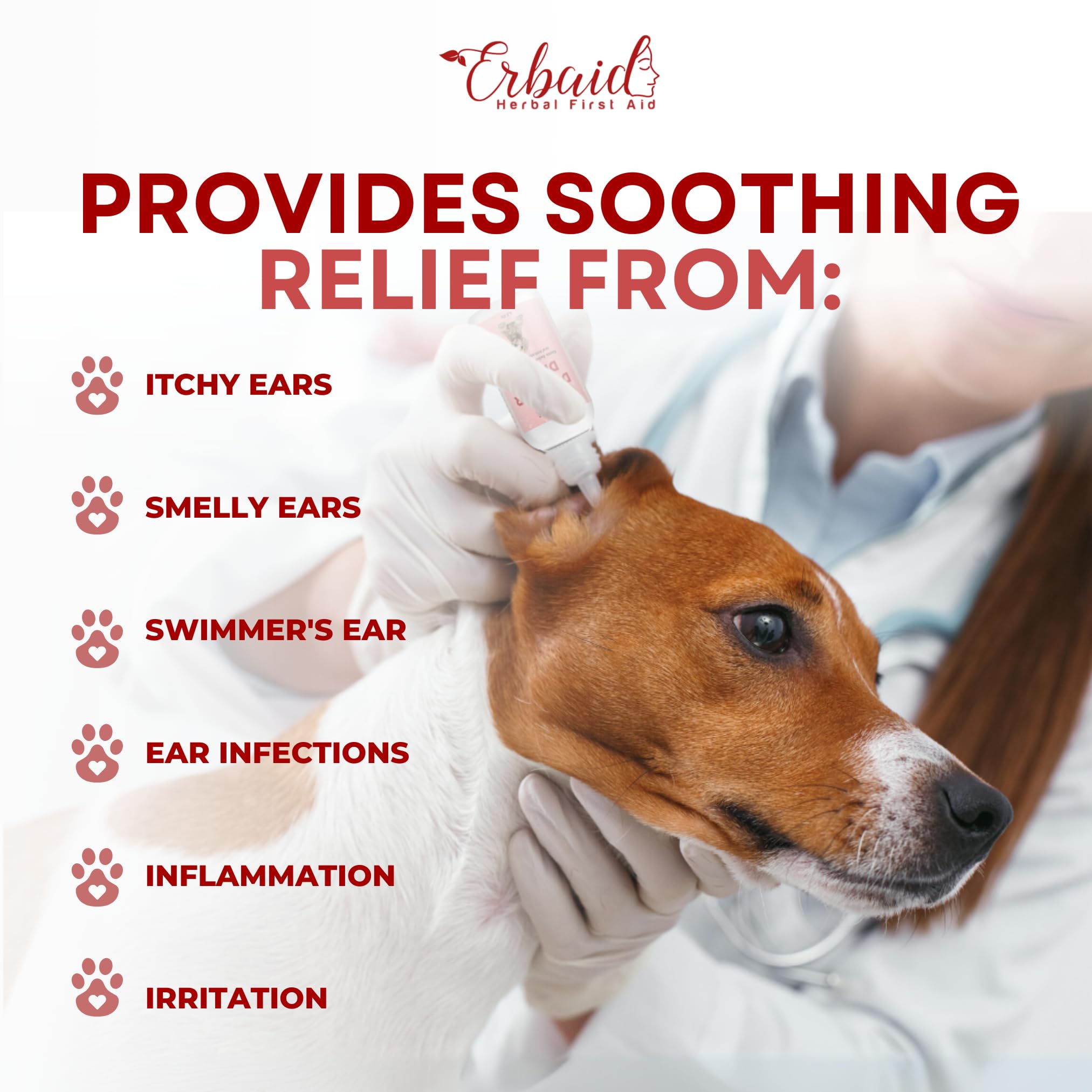 Erbaid dog ear cleaner drops in ear for cleansing