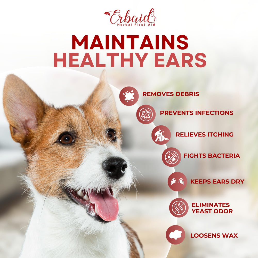 Erbaid dog ear cleaner ear massage demonstrating application
