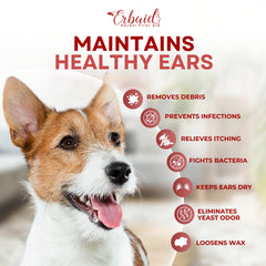 Erbaid dog ear cleaner ear massage demonstrating application