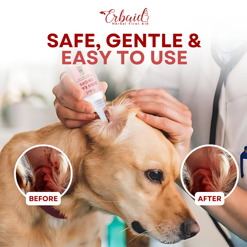 Erbaid dog ear cleaner usage steps in home care routine