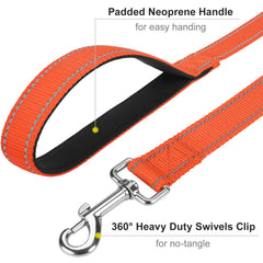 Erbine 4ft leash designed for dogs up to 60 lbs.