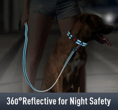 Erbine Airtag Dog Collar safety buckle with locking feature for extra security.