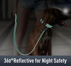 Erbine Airtag Dog Collar teal AirTag holder featured on collar.