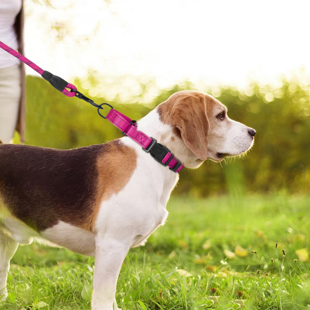 Erbine dog collar quick-release buckle closeup demonstrates emergency safety feature.
