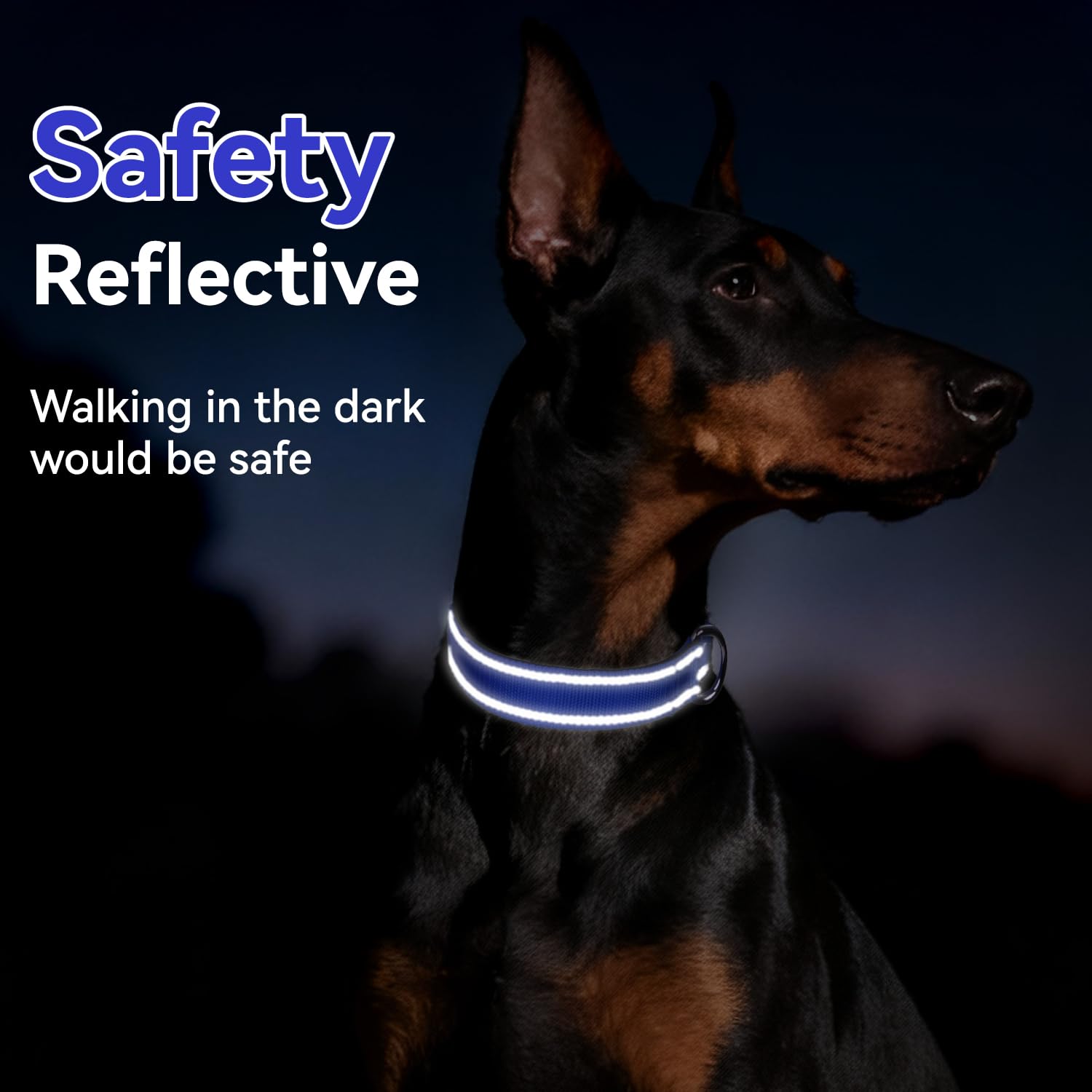 Erbine heavy-duty D-rings provide secure leash attachment.