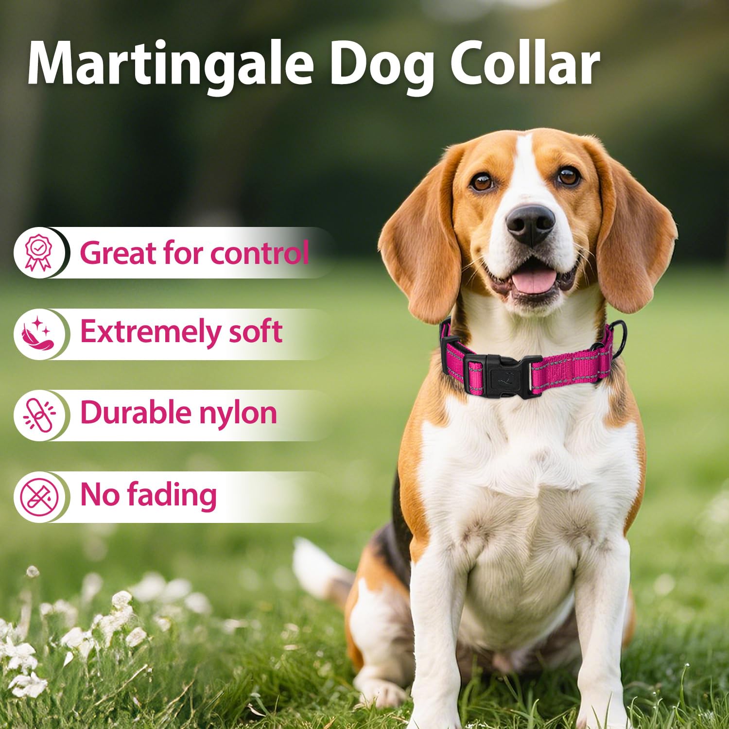 Erbine hotpink collar on a dog during daily walks combines style and comfort.