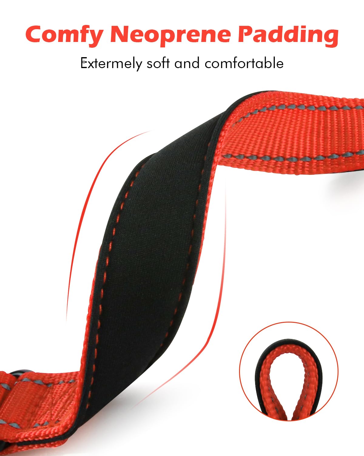 Erbine martingale collar reflective strap increases visibility during low-light walks.