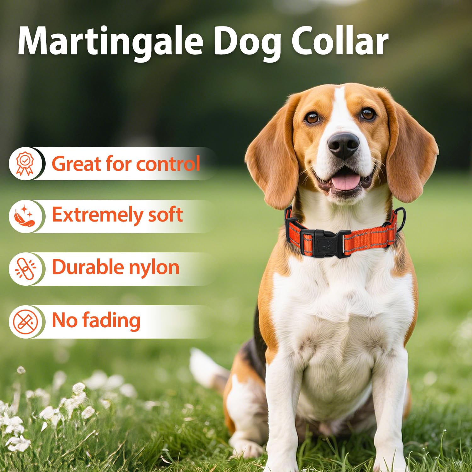 Erbine martingale collar side view shows durable nylon webbing and soft padding.
