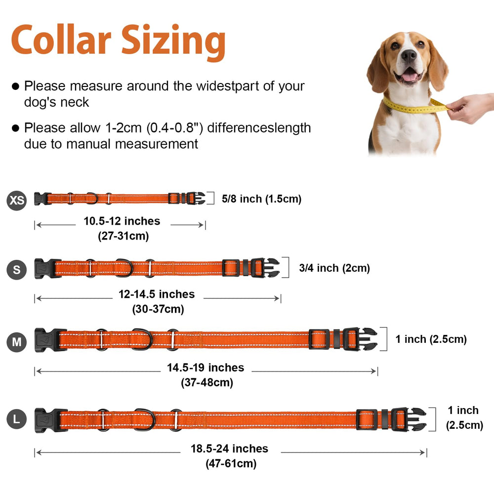 Erbine martingale collar training use demonstrates gentle tightening to deter pulling.