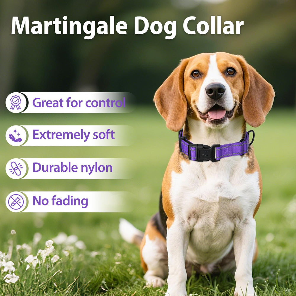 Erbine neoprene padded martingale collar neoprene closeup showing padding