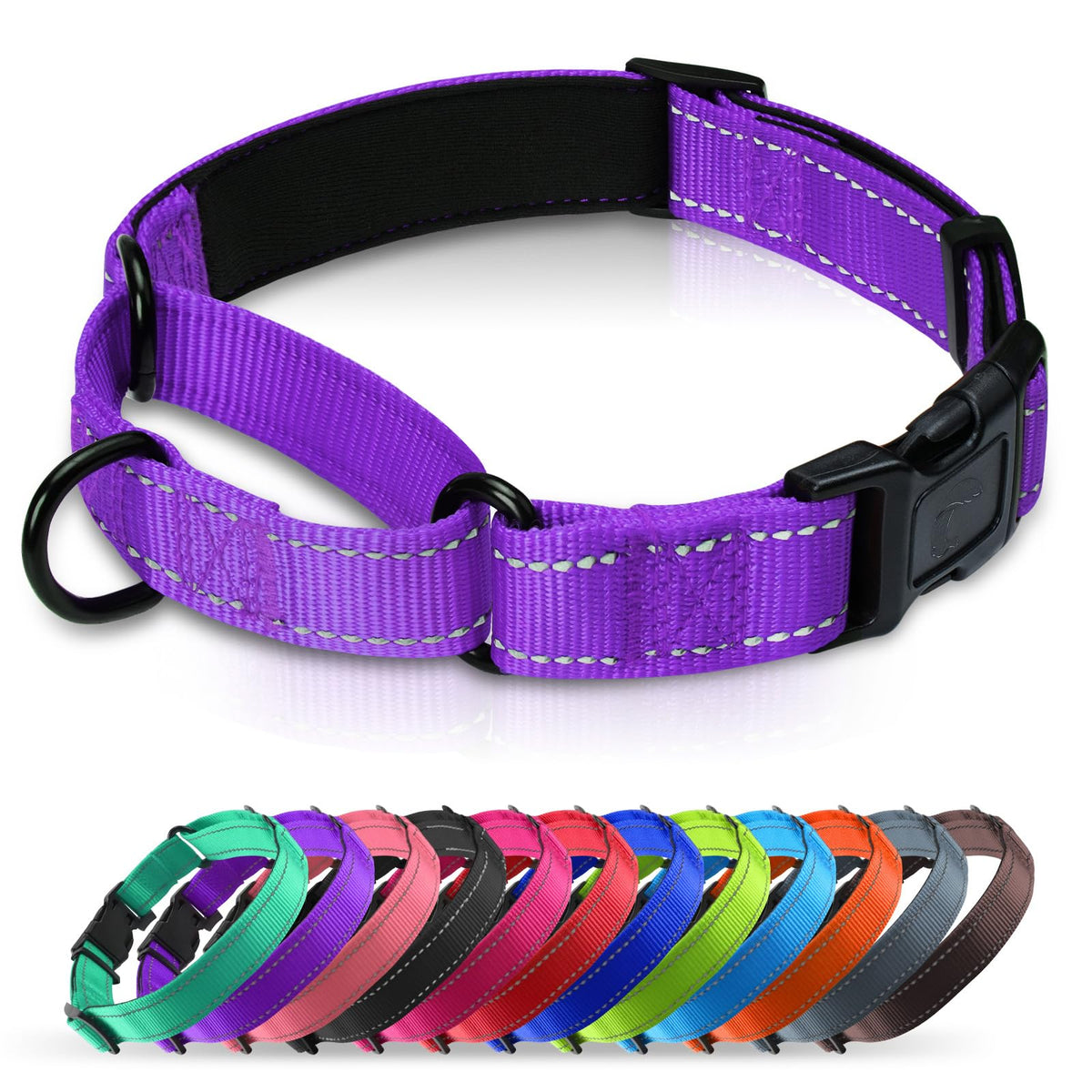 Erbine neoprene padded martingale collar purple main view for daily comfort