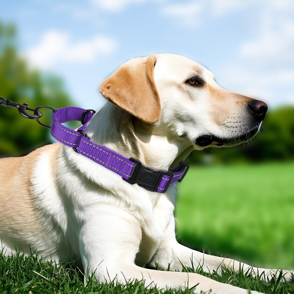 Erbine neoprene padded martingale collar purple padding detail