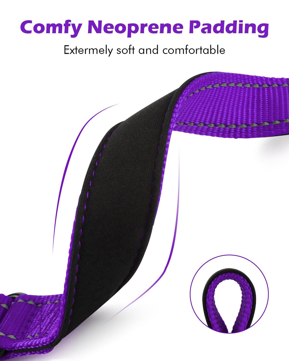 Erbine neoprene padded martingale collar quick-release buckle in use