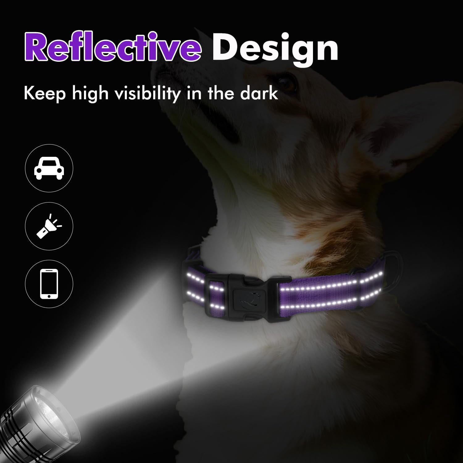 Erbine neoprene padded martingale collar reflective stripe for safety at night