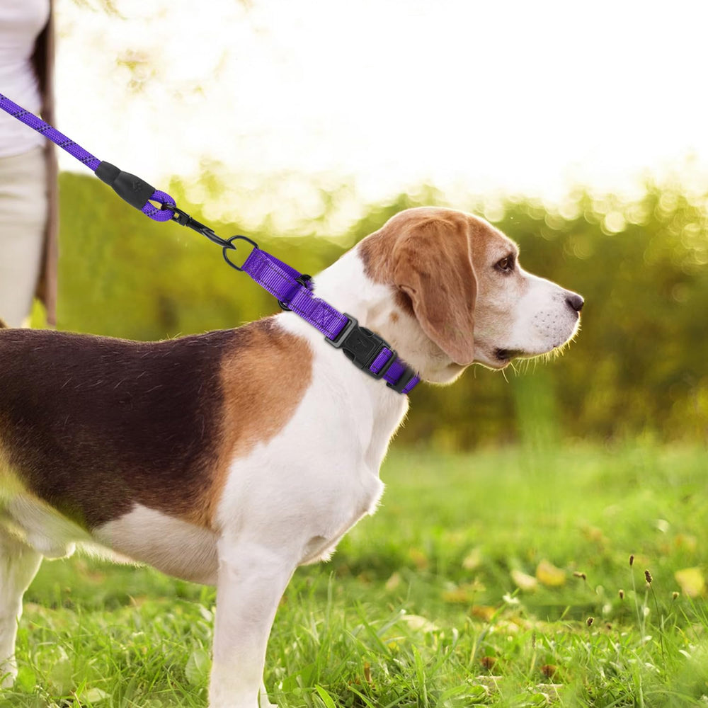 Erbine neoprene padded martingale collar size range demonstration