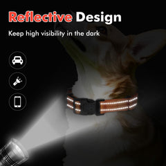 Erbine neoprene padded martingale collar ready for comfortable daily use across breeds.