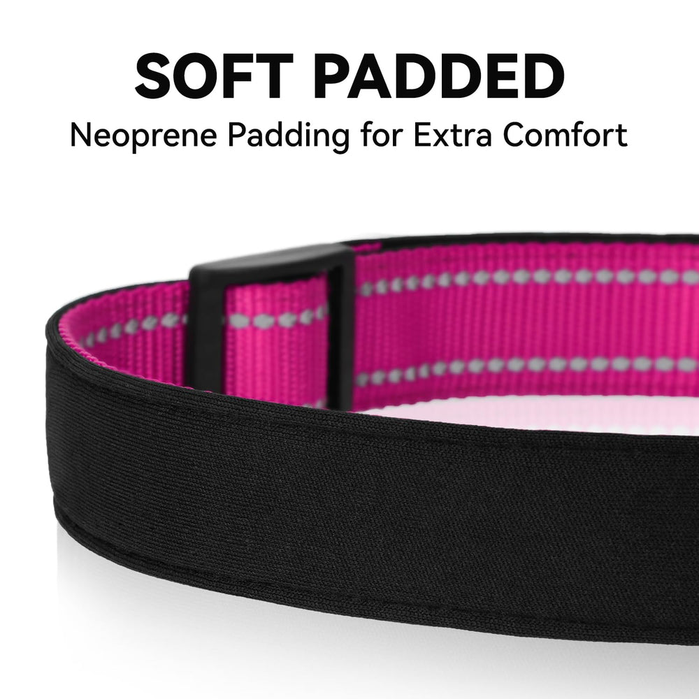 Erbine reflective dog collar adjustable sizes cover small to extra-large dogs.