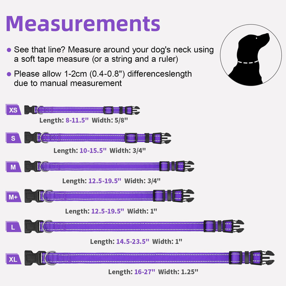 Erbine reflective-dog-collar color-palette-showcase purple option stands out on daily walks.
