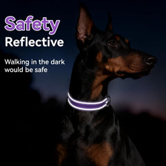 Erbine reflective dog collar purple durable zinc alloy D-rings for secure leash.