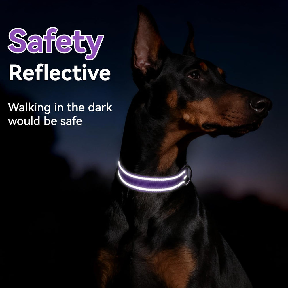 Erbine reflective-dog-collar heavy-duty-d-ring secures leash attachment during outdoor play.