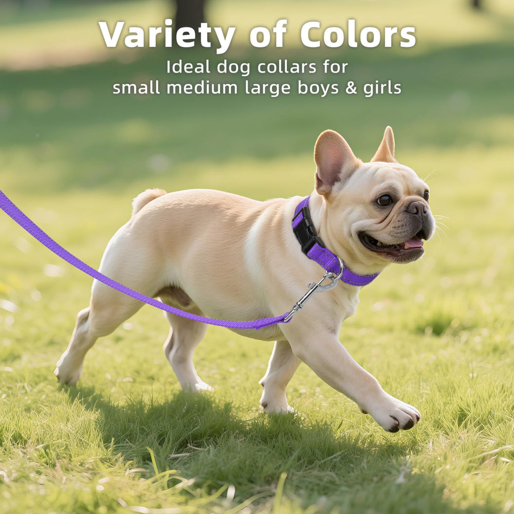 Erbine reflective dog collar purple demonstrates adjustable fit for medium dogs.