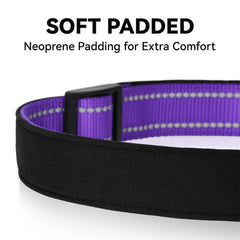 Erbine reflective dog collar purple showing strong D-rings for secure leash attachment.