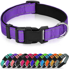 Erbine reflective dog collar in purple with quick-release buckle for easy on-the-go adjustments.
