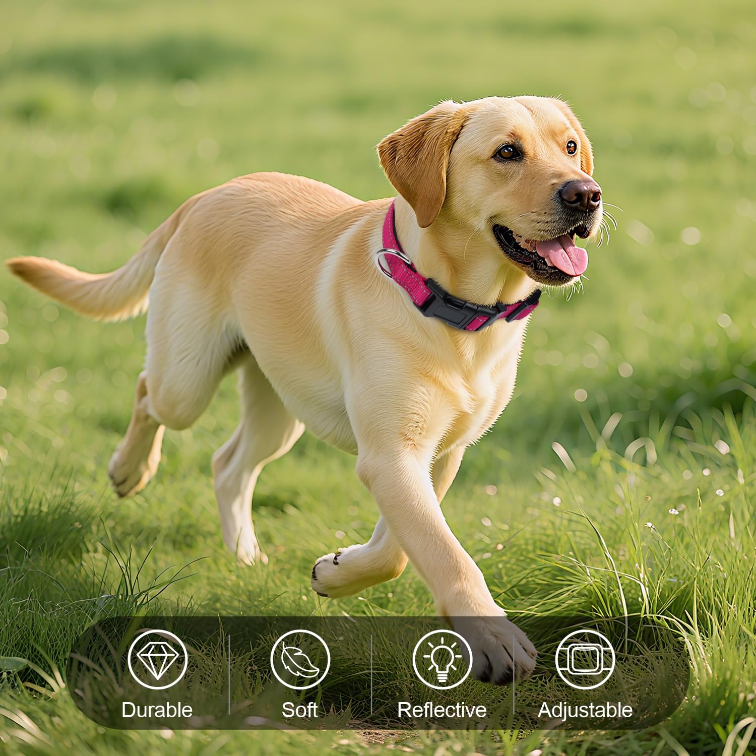 Erbine reflective dog collar quick-release buckle enables easy one-handed removal.