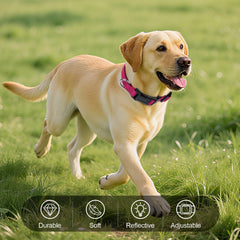 Erbine reflective dog collar quick-release buckle enables easy one-handed removal.