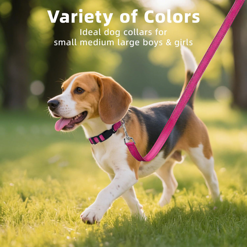 Erbine reflective dog collar tag loop for adding ID information easily.