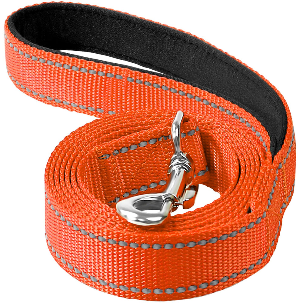 Erbine reflective nylon dog leash for night walks improves visibility.