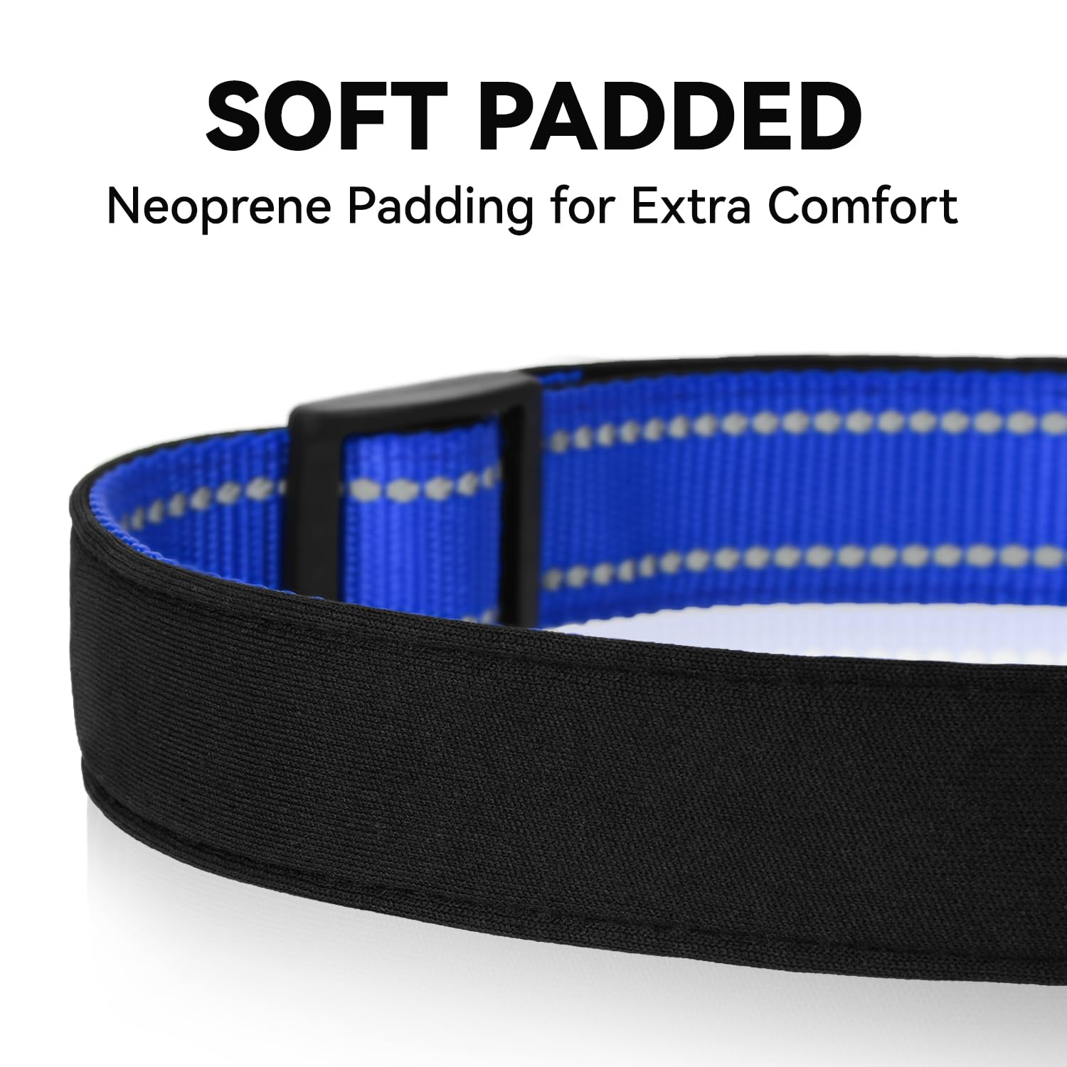 Erbine soft nylon neoprene collar offers comfortable everyday wear.