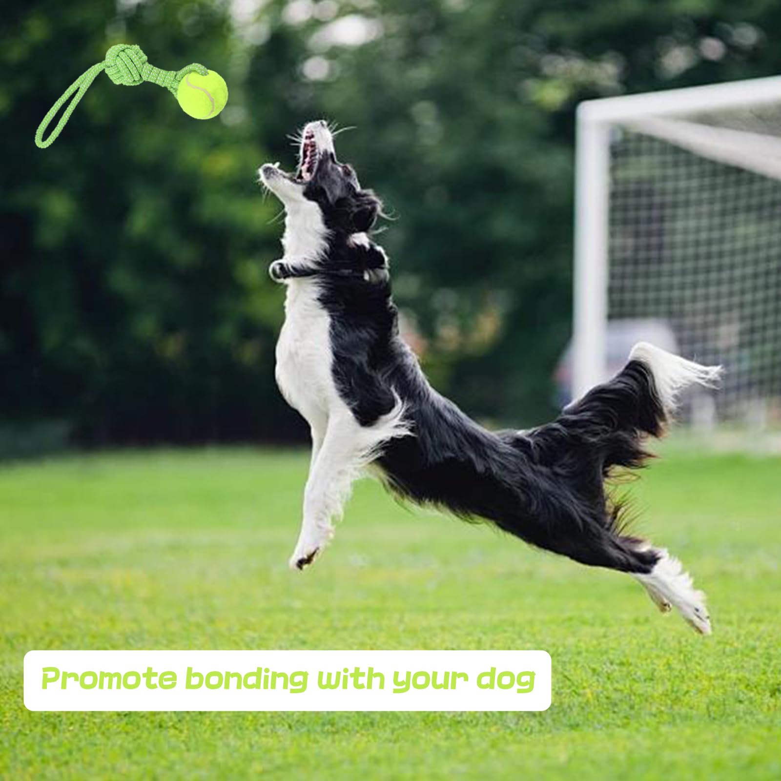 Erhalithegro sturdy rope toy for aggressive chewers and robust play.