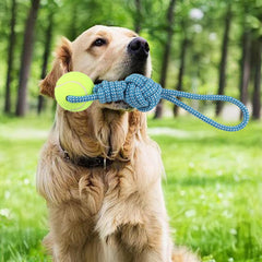 Erhalithegro puppy-teething rope showing cotton fibers and tennis ball in use
