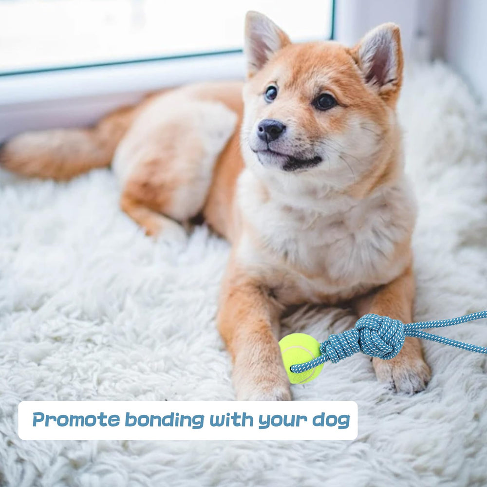 Erhalithegro small-breed chewer rope highlighting durability for daily play