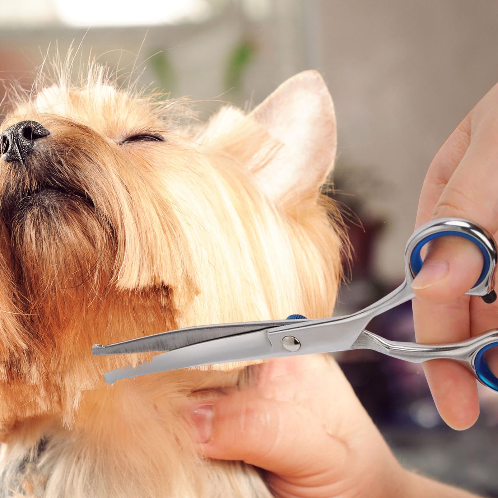 Erioscar curved dog grooming scissors suitable for nose, ear, face, and paw trims.